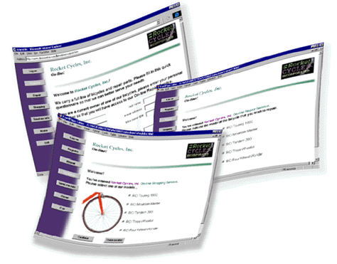 DecisionKey Demo Website